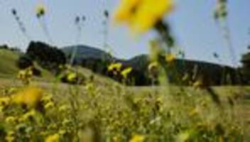 Rheinland-Pfalz: Rheinland-Pfalz ist nicht Schlumpfhausen