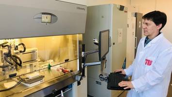 menschliche organe aus dem 3d-drucker – ohne tierversuche