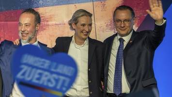 Interne Machtkämpfe und schwacher Kandidat – trotzdem ist die AfD erfolgreich