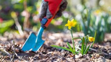 Frühlingserwachen: Gartenprofis verraten Tipps für die neue Saison