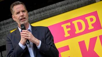 liberale in der krise: von der stolzen fdp zur splitterpartei