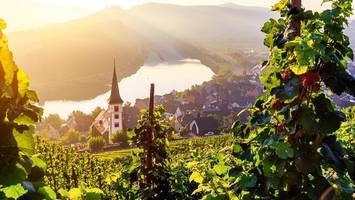 Riesling und Saumagen: So ticken die Rheinland-Pfälzer politisch
