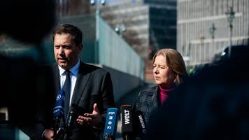 Politik-Experte erklärt, wie Vergrünung die SPD ruiniert