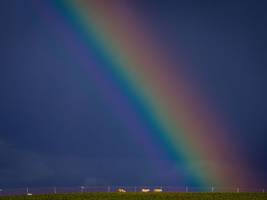 sterbehilfe: „am tag nach dem tod der kessler-zwillinge hatten wir 700 neuzugänge“