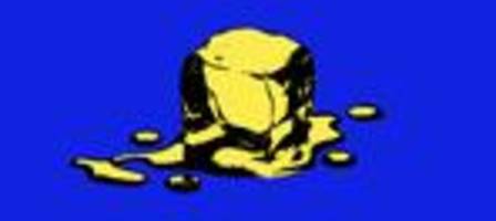 FDP: Und keiner weint