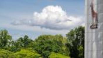 Hochansteckende Krankheit: Keine weiteren Fälle der Newcastle-Krankheit im Zoo