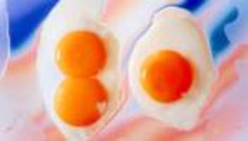 trennungsangst: lass mich bitte nicht allein!