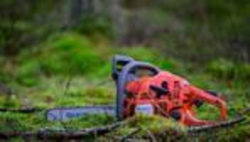 Unfall: Arbeitsunfall beim Baumfällen - 22-Jähriger schwer verletzt