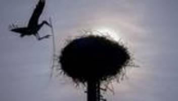 Wetter in Bayern: Sonne, Wolken, wenig Regen: Der Wochenstart wird wechselhaft