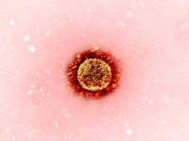 Gefahr von Pandemien: Viren springen ohne besondere Mutationen auf Menschen über