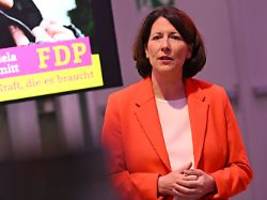 Wahl-Debakel in Rheinland-Pfalz: FDP-Landeschefin Schmitt zieht sich zurück