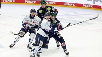 Eisbären: Wie das Traumpaar für den großen Aufschwung sorgt