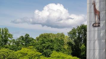 Erleichterung im Zoo – keine weiteren Fälle der Newcastle-Krankheit