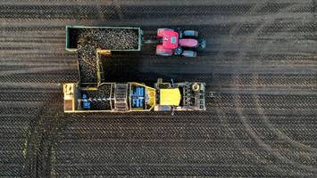 Teurer Diesel, teurer Dünger: Was macht der Iran-Krieg mit unseren Lebensmitteln?