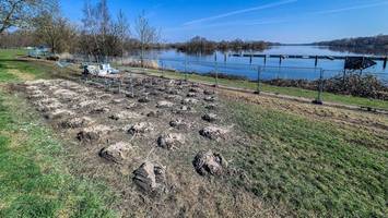 Geheimnisvolle „Maulwurfshaufen“ an der Dove-Elbe geben Rätsel auf