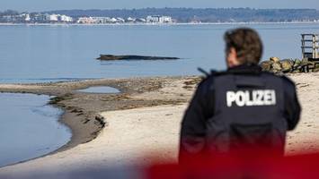 Wal in Lübecker Bucht gestrandet – Annäherung durch Schaulustige birgt Gefahr