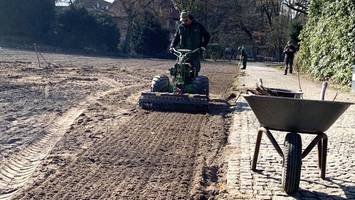 Schlosswiese wird wieder grün: Am Dienstag wird der neue Rasen ausgerollt