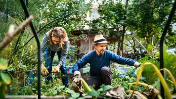 landkreis erding: neuer borna-virus fall – wie sie sich schützen