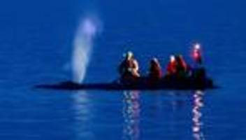 Fotografie: Bilder des Tages