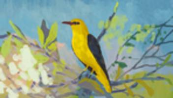 wirkung von vogelgesang: tschilp mich glücklich