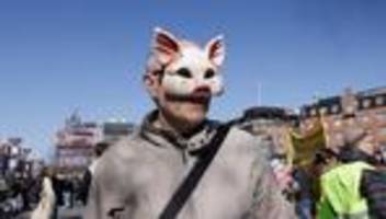 parlamentswahl in dänemärk: schweinewahl