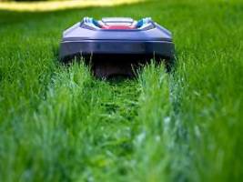 drahtlos im grünen: nur diese beiden mähroboter sind gut