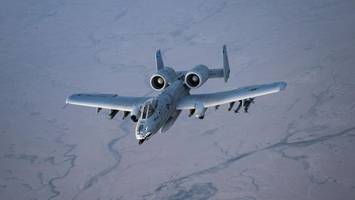 „Warzenschweine“ sollen jetzt die Straße von Hormus freischießen