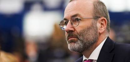 EVP: Nach Zweifeln an Brandmauer – Manfred Weber wirft AfD »dumpfen Nationalismus« vor
