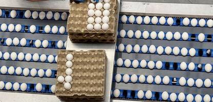 nachfrage zu ostern: warum eier wohl noch mal teurer werden