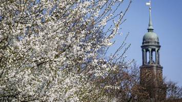 am hamburger michel und im aez gibt es jetzt blaue eier – was dahintersteckt