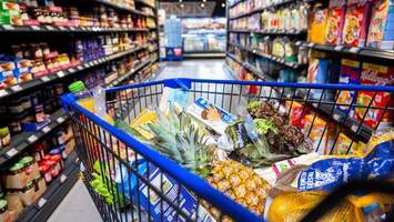 Regierung prüft offenbar Reform: Droht bald eine Mehrwertsteuer von 21 Prozent?