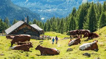 klinikchefin wird hüttenwirtin und übernimmt alm auf 3105 meter