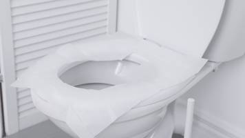 klopapier auf die toilette: was sie auf einem öffentlichen wc nicht machen sollten
