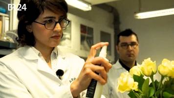 essbares spray hält obst und gemüse länger frisch