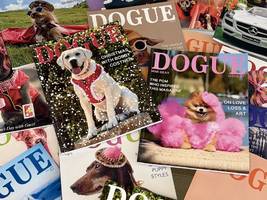 Gerichtsstreit zwischen Magazinen: Wenn sich Mode mit Satire beißt