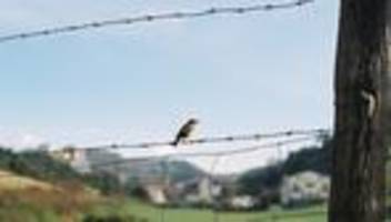 einsamkeit: klüger einsam sein