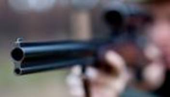 Illegale Jagd: So viele Fälle von Jagdwilderei werden erfasst