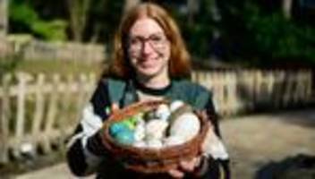 Nachwuchs im Vogelpark: Saisonstart im Vogelpark Walsrode mit Flugshow und Nachwuchs