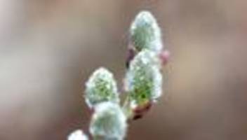 Wetter: Orkanböen in Sachsen-Anhalt möglich