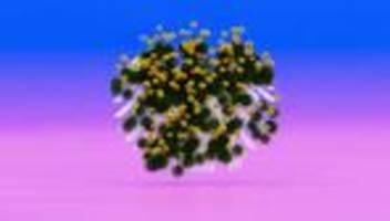 friedrich merz: stimmt das, dass der kanzler habecks wirtschaftspolitik macht?