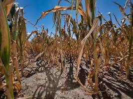 klima-szenarien für worst case: studie: so könnte eine zwei grad wärmere welt aussehen