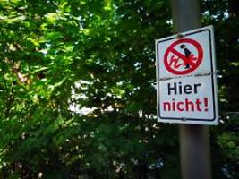 Mann lag tot unter seinem Auto: Gericht: Tödliche Pinkelpause im Wald ist kein Arbeitsunfall