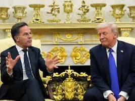 rutte steht fest hinter trump: nato-chef verstört europäer mit aussagen zu iran-krieg