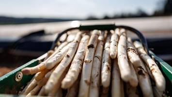 spargel-saison beginnt: auf diese preise müssen sie sich einstellen
