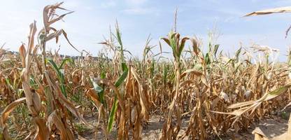 klimawandel: extreme folgen schon bei erwärmung um zwei grad möglich