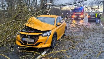 sturmböen bei hamburg – baum stürzt auf fahrende autos