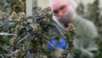 Bundesgerichtshof: BGH: Keine Werbung für Cannabis-Behandlung im Internet