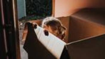 Entwicklung von Kindern: Wie viel Angst kann ich meinem Kind zumuten?