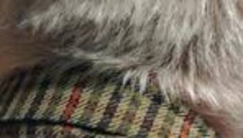 Freiwilliger Einzug ins Pflegeheim: Wie Pflege Spaß macht