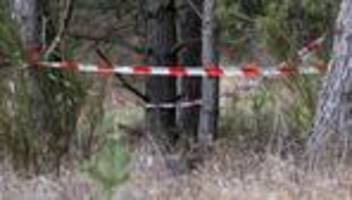 Knochenfund: Menschliche Skelettteile bei Kargow gefunden